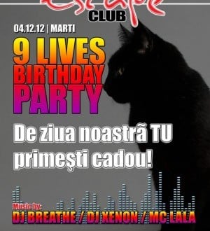 9 Lives Birthday Party