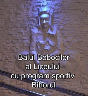 Balul Bobocilor Liceul de Sport