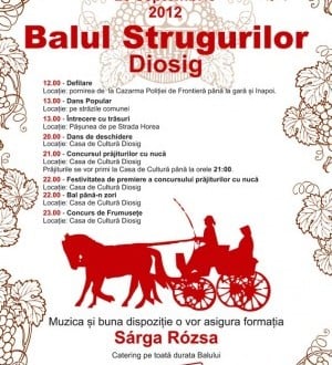 Balul Strugurilor Diosig