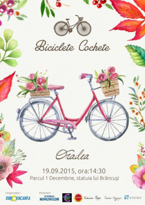 Biciclete Cochete