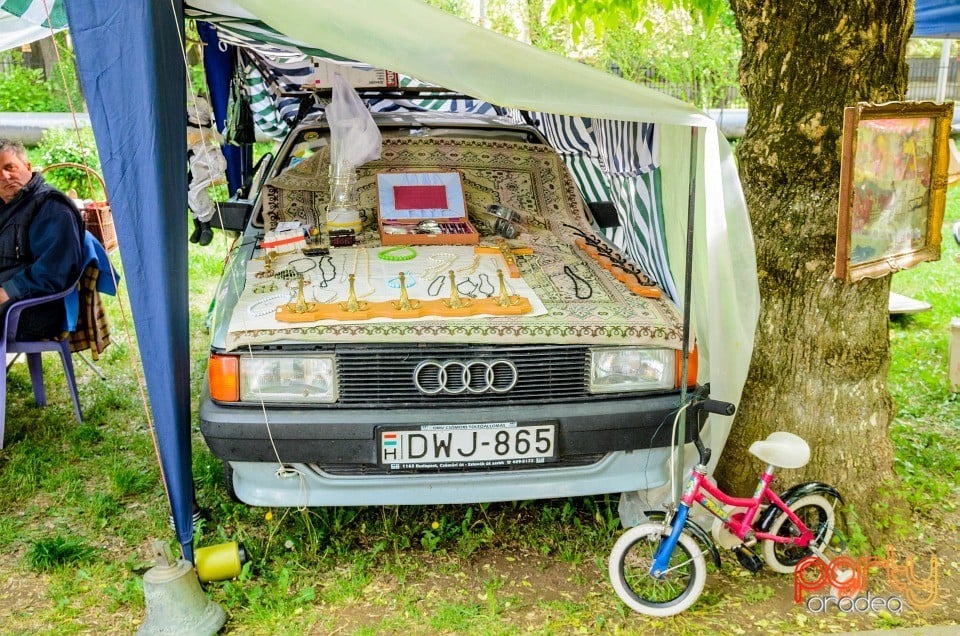 1 Mai în Parcul Bălcescu, Oradea