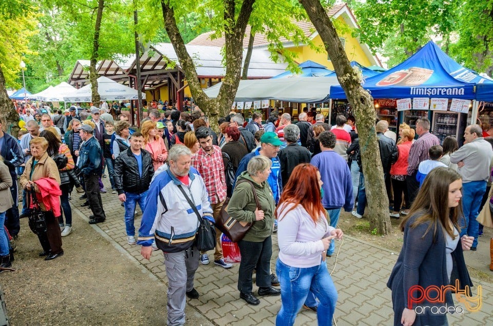 1 Mai în Parcul Bălcescu, Oradea