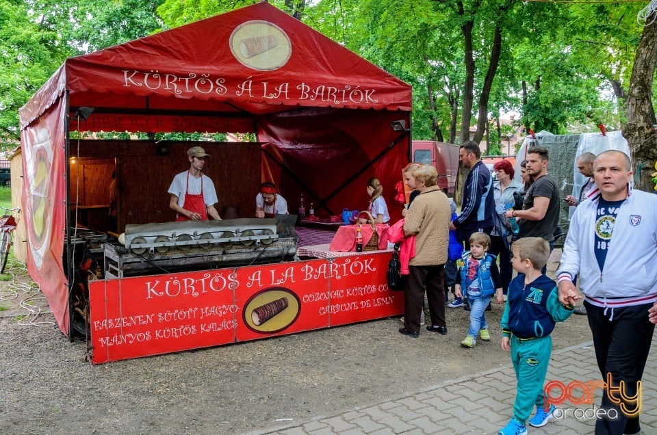 1 Mai în Parcul Bălcescu, Oradea