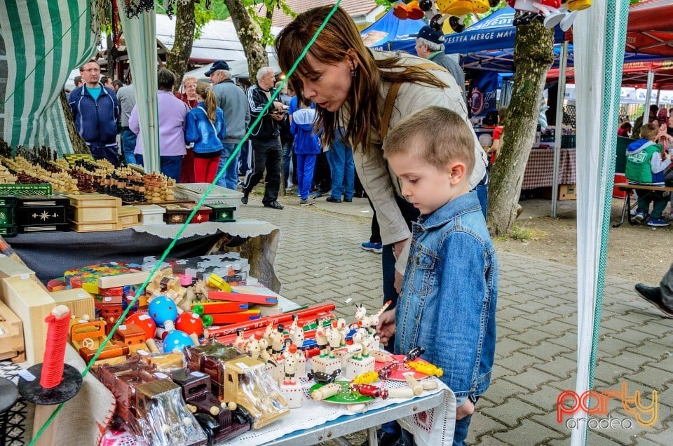 1 Mai în Parcul Bălcescu, Oradea