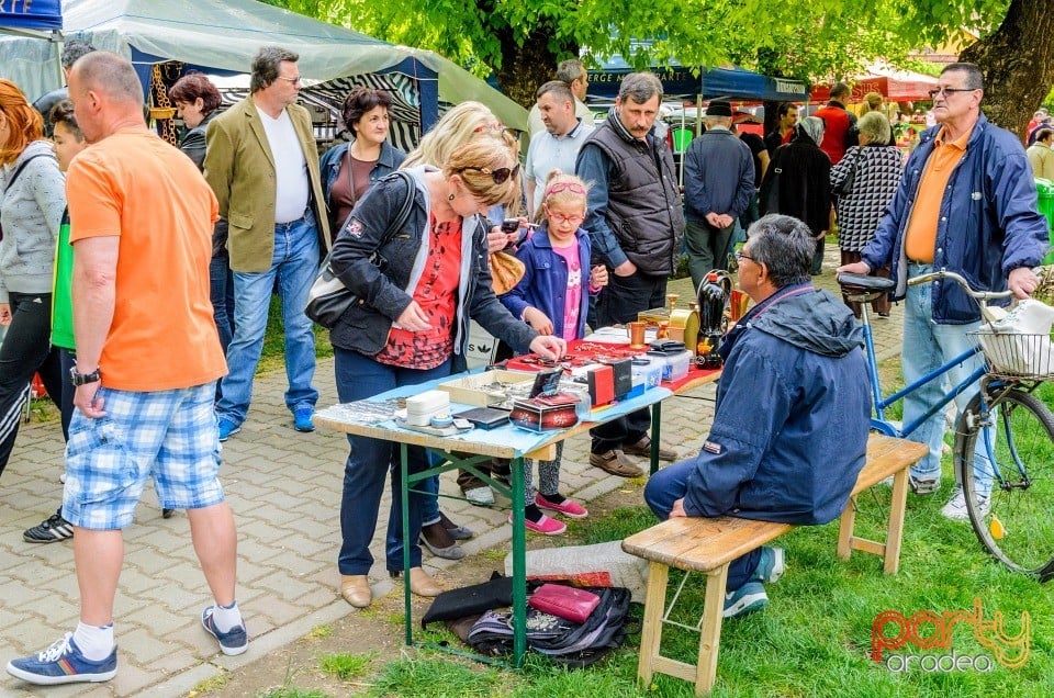 1 Mai în Parcul Bălcescu, Oradea