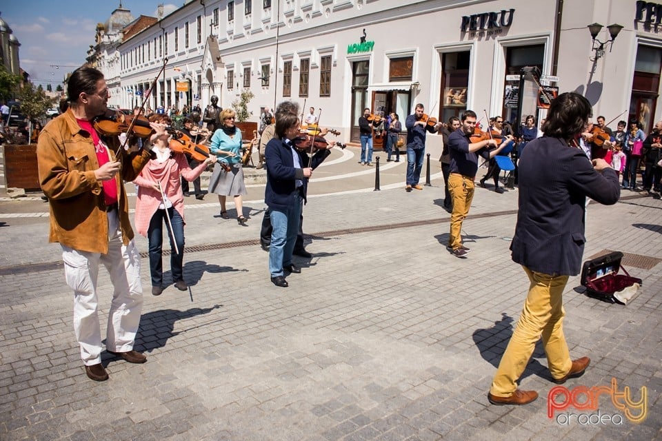 5 minute pentru Oradea!, Oradea