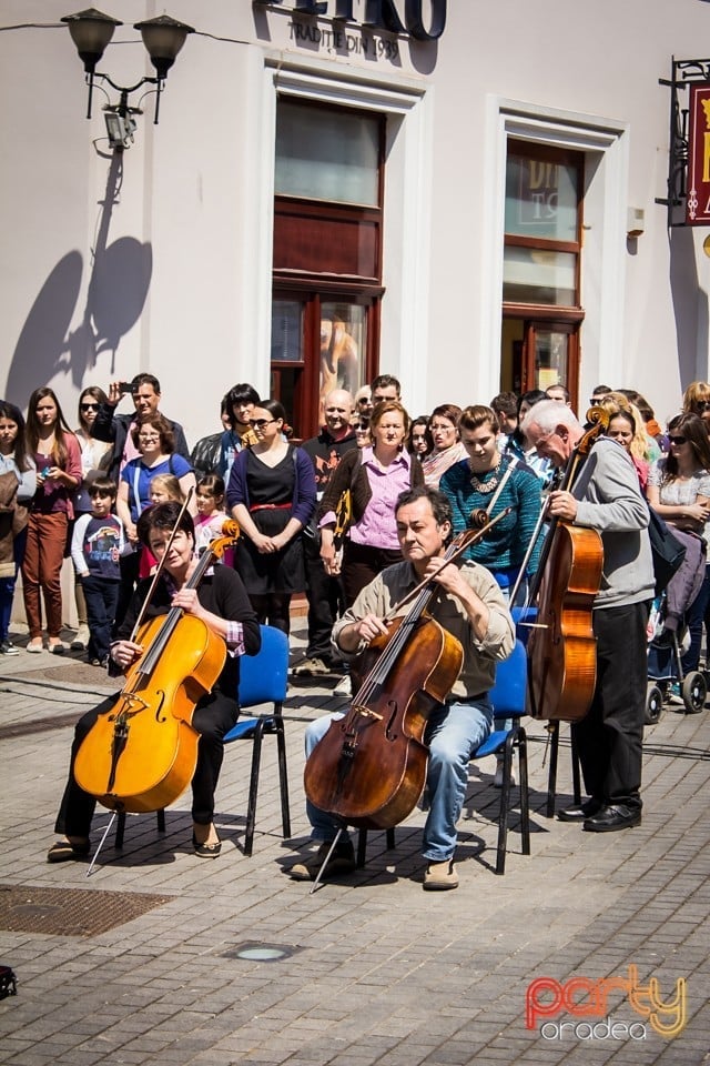 5 minute pentru Oradea!, Oradea