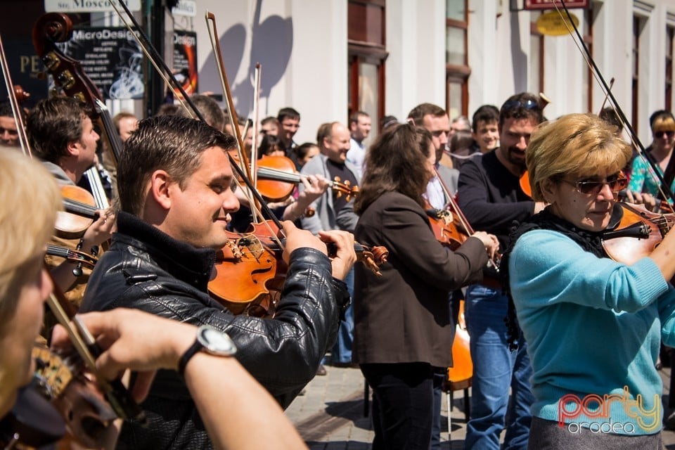 5 minute pentru Oradea!, Oradea