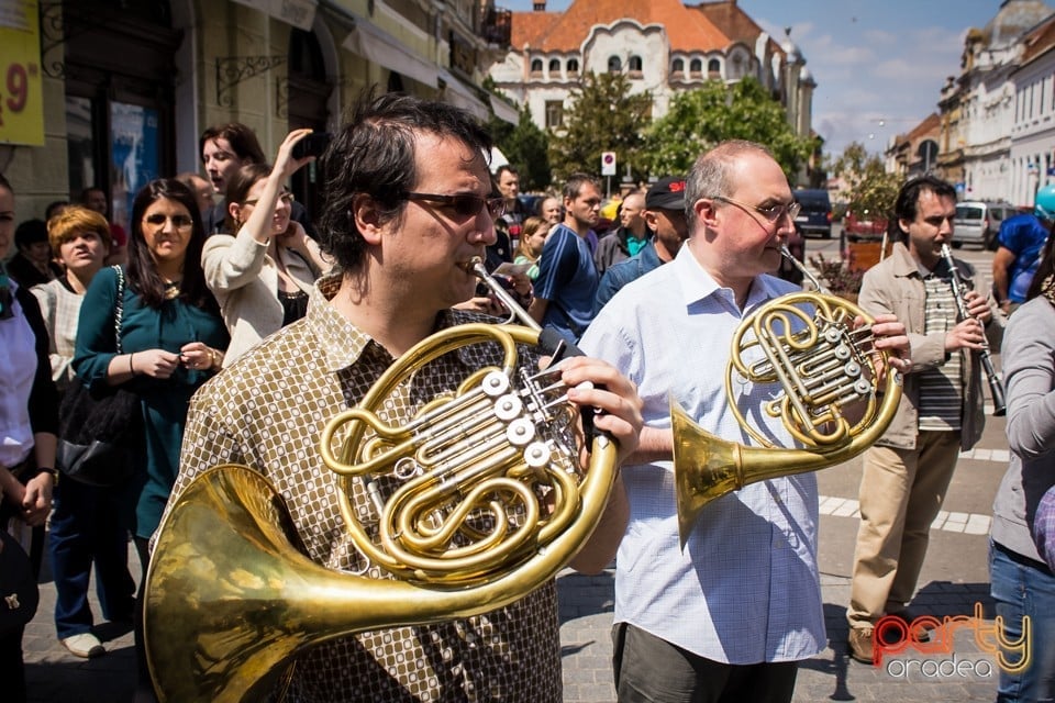 5 minute pentru Oradea!, Oradea