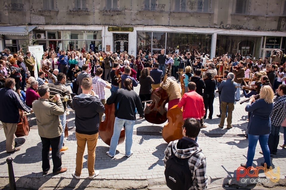 5 minute pentru Oradea!, Oradea