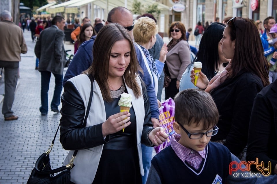 5 minute pentru Oradea!, Oradea