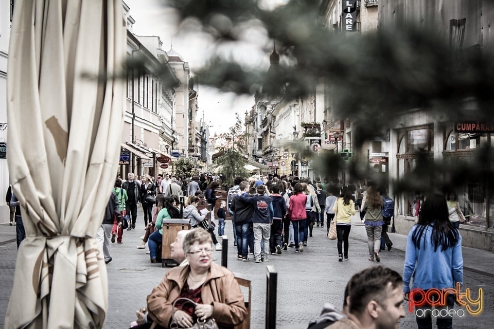 5 minute pentru Oradea!, Oradea