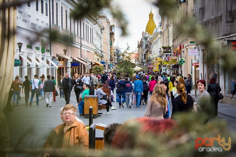 5 minute pentru Oradea!, Oradea