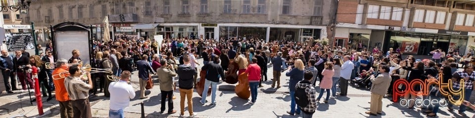 5 minute pentru Oradea!, Oradea