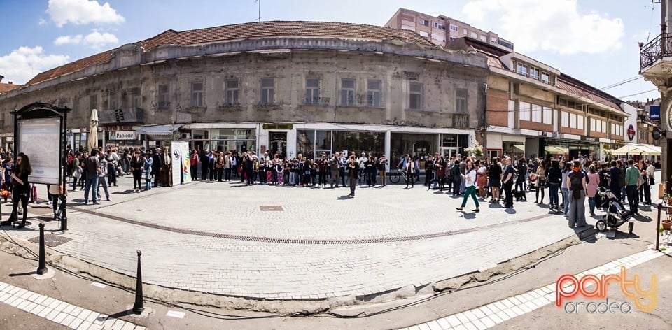 5 minute pentru Oradea!, Oradea