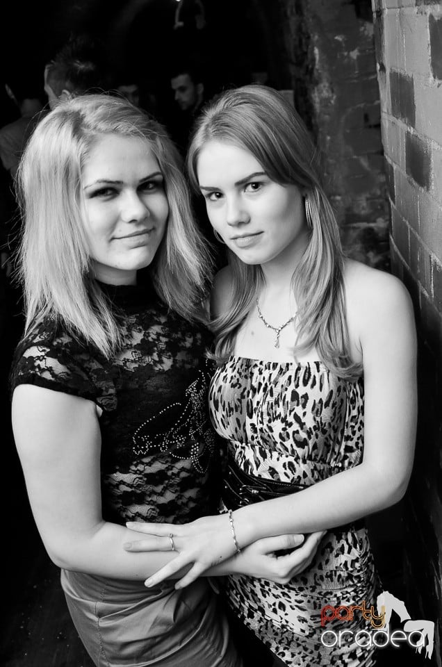 9 Lives Birthday Party,