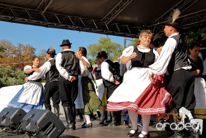 A înflorit Oradea,