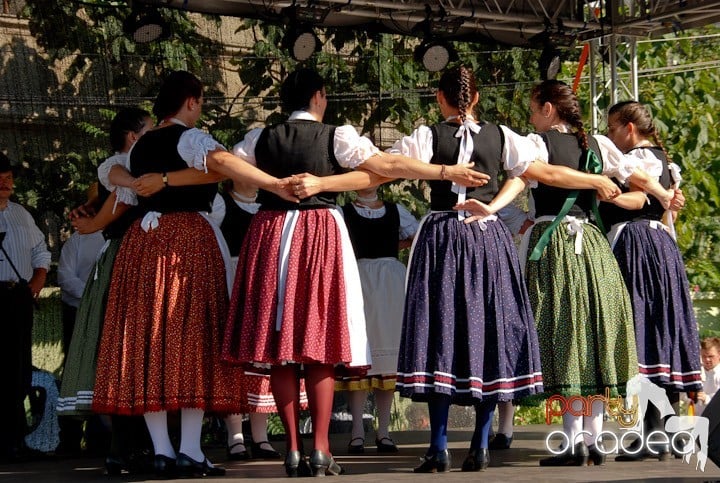 A înflorit Oradea,