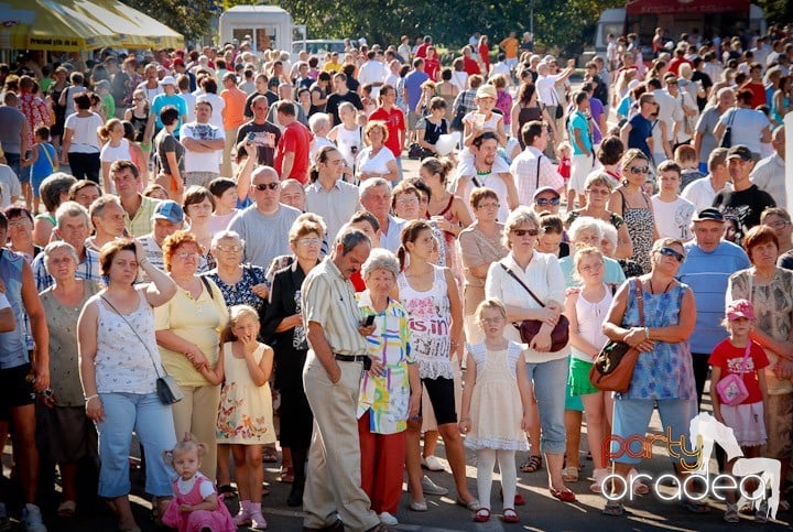 A înflorit Oradea,