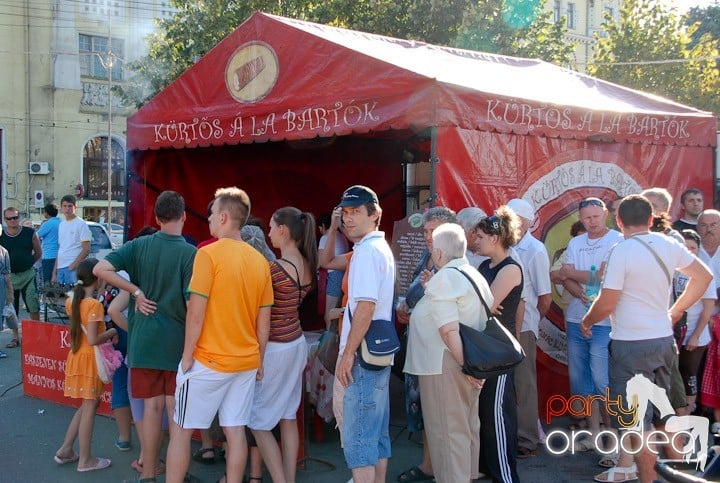 A înflorit Oradea,