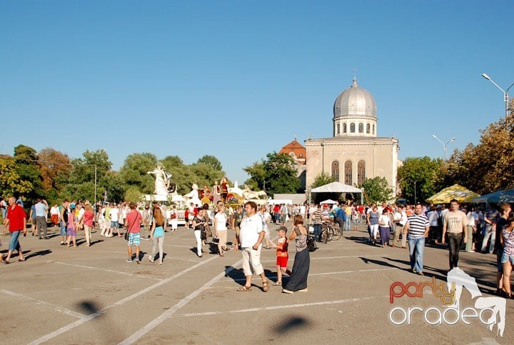A înflorit Oradea,