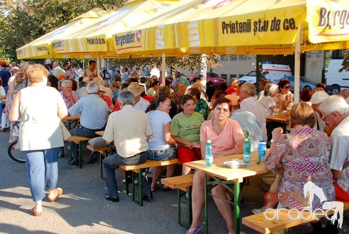 A înflorit Oradea,