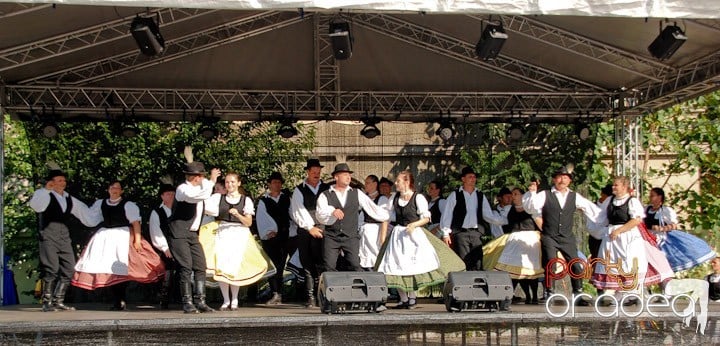 A înflorit Oradea,