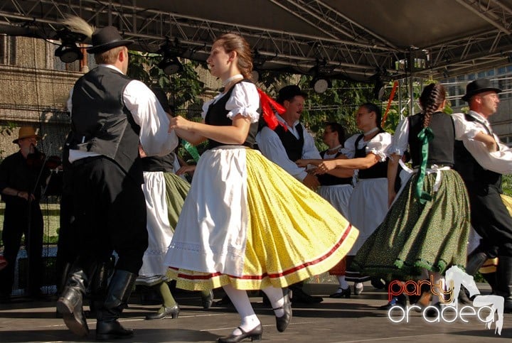 A înflorit Oradea,