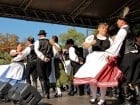A înflorit Oradea