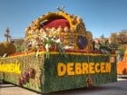 A înflorit Oradea