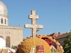 A înflorit Oradea