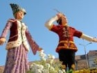A înflorit Oradea