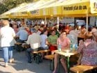 A înflorit Oradea