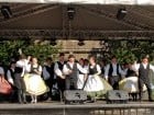 A înflorit Oradea