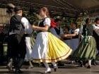 A înflorit Oradea