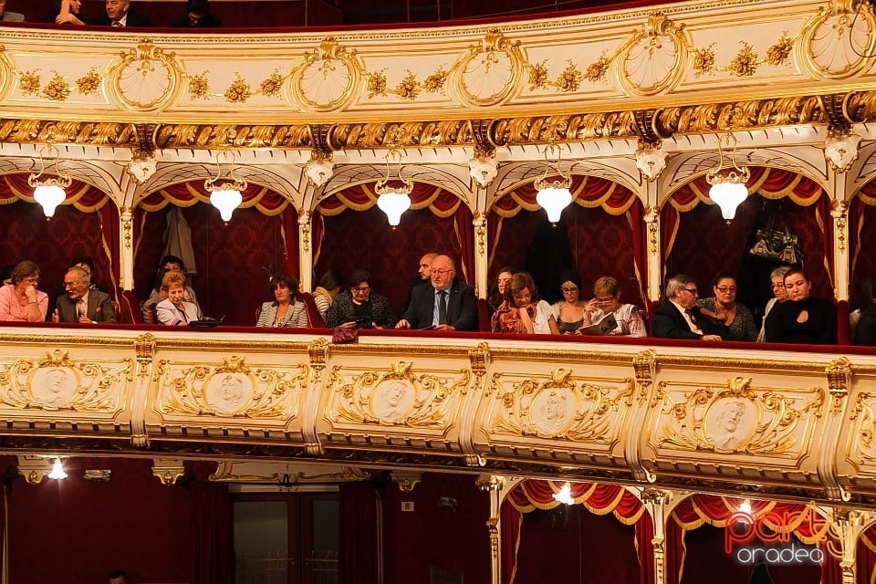 Aida - Spectacol de operă, Teatrul Regina Maria