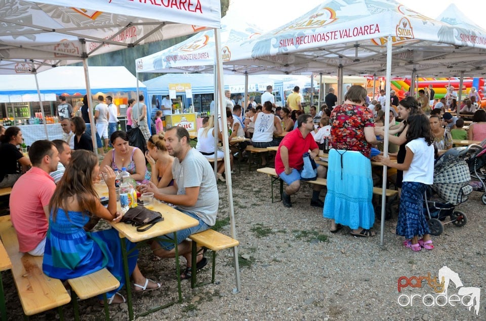 Ambianţă Festivalul Berii, Cetatea Oradea