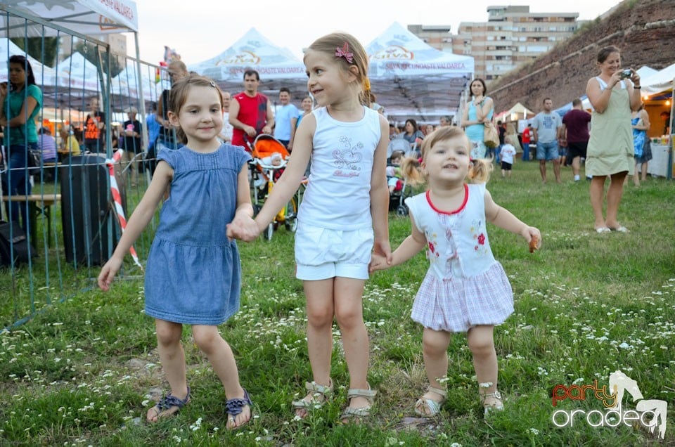 Ambianţă Festivalul Berii, Cetatea Oradea