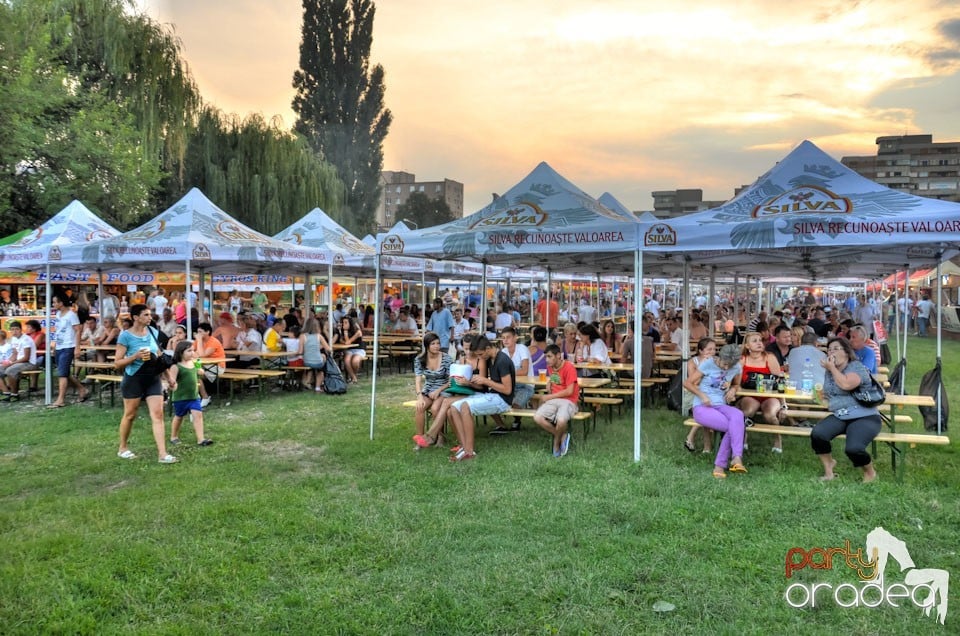 Ambianţă Festivalul Berii, Cetatea Oradea