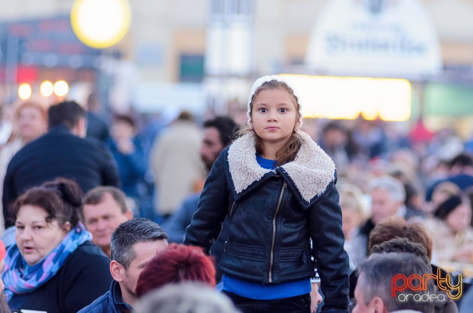 Ambianţă la Toamna Orădeană, Oradea