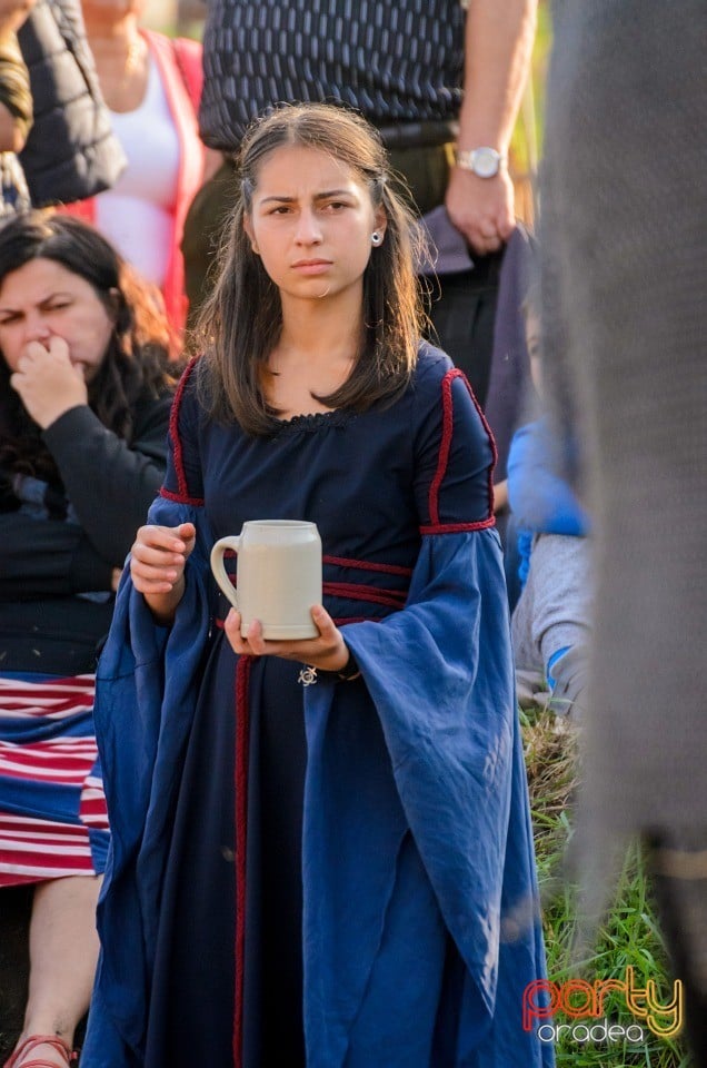 Ambianţă la Toamna Orădeană, Cetatea Oradea