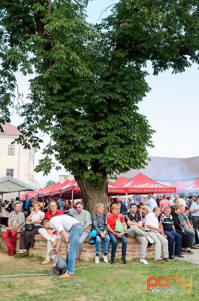 Ambianţă la Zilele Sfântul Ladislau, Oradea