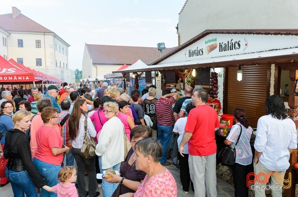 Ambianţă la Zilele Sfântul Ladislau, Oradea