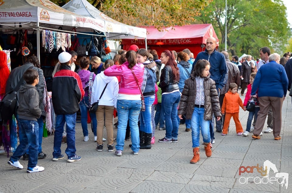 Ambianţă Toamna Orădeană,