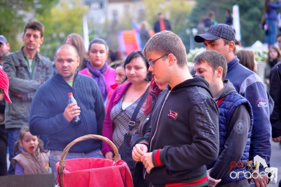 Ambianţă Toamna Orădeană,