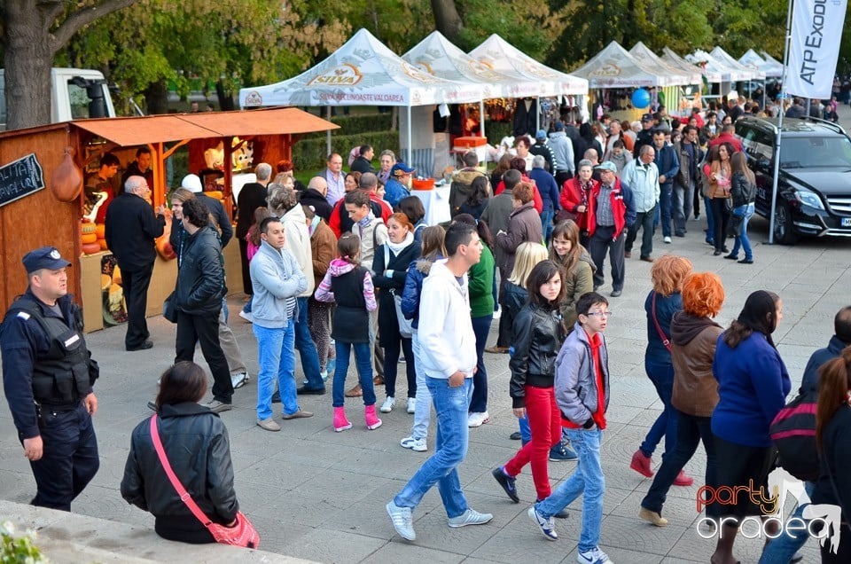 Ambianţă Toamna Orădeană,