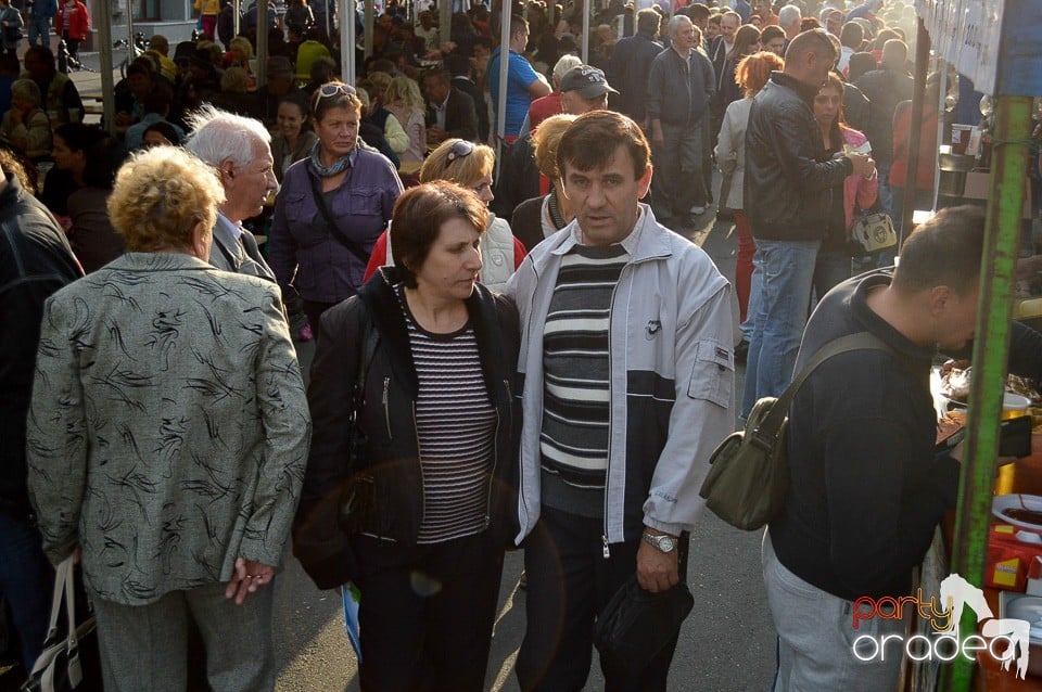 Ambianta Toamna Oradeana, Oradea