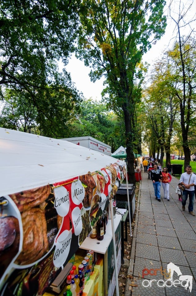 Ambianta Toamna Oradeana, Oradea