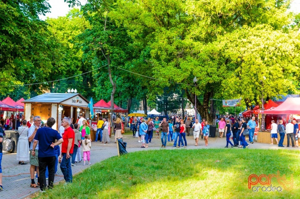 Ambianţă Zilele Sf. Ladislău, Oradea