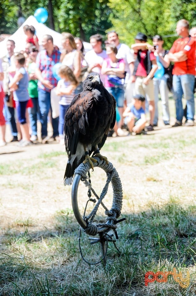 Ambianţă Zilele Sf. Ladislău, Oradea